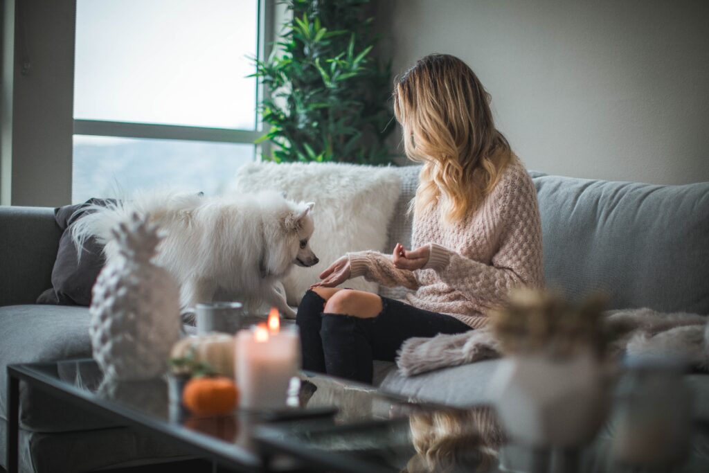 Learn the benefits of CBD candles and how they can improve relaxation
