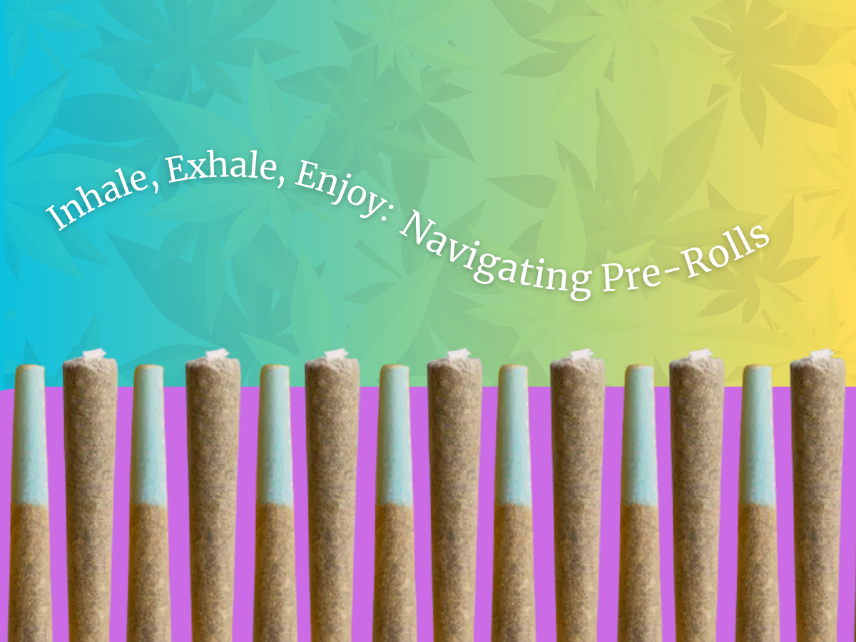 Learn about cannabis pre-rolls: quality, how to choose